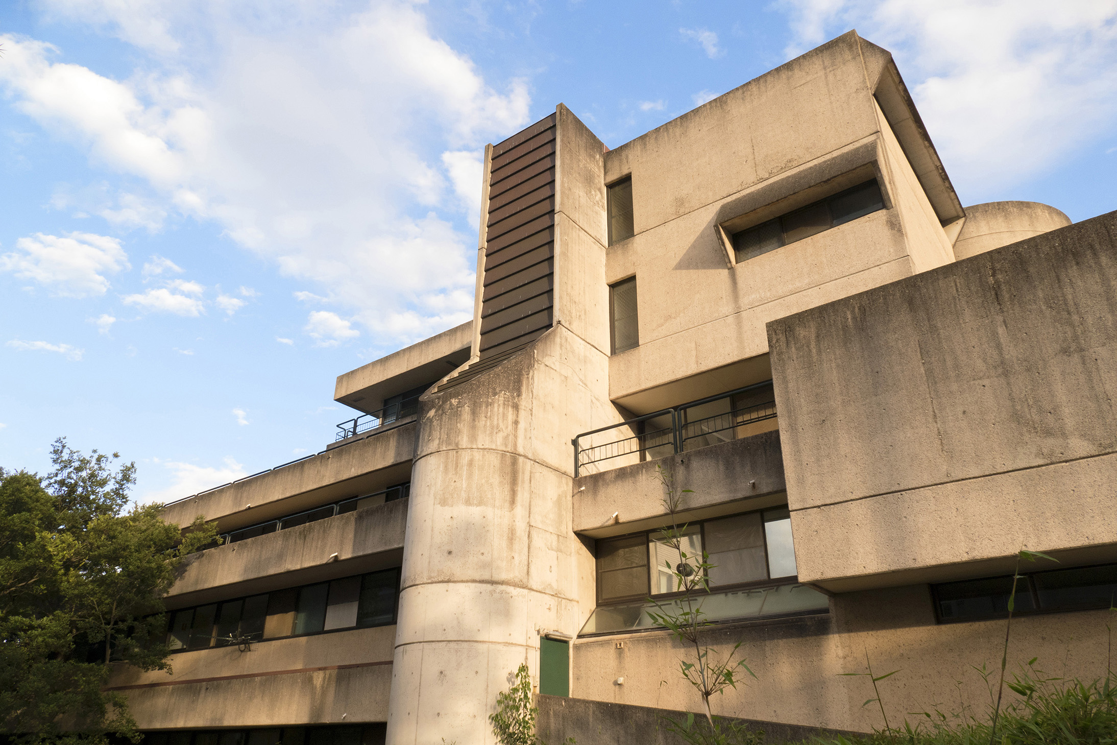 Brutal battle to save Glebe icon