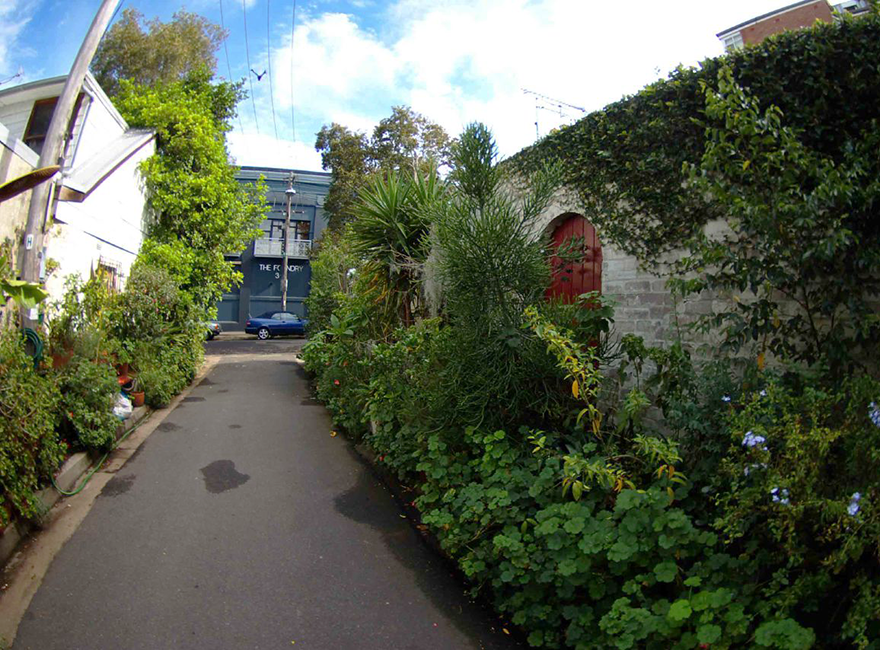 New study explores benefits of greening Sydney’s streets