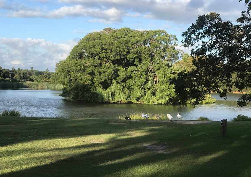Clues to the missing trust in Greater Sydney Parklands