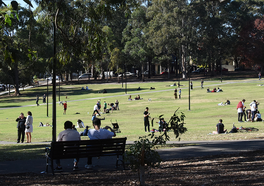 ‘Massive Stitch-Up’: Byrne Offers Up Inner West Parks After City Council’s Festival Ban Slammed