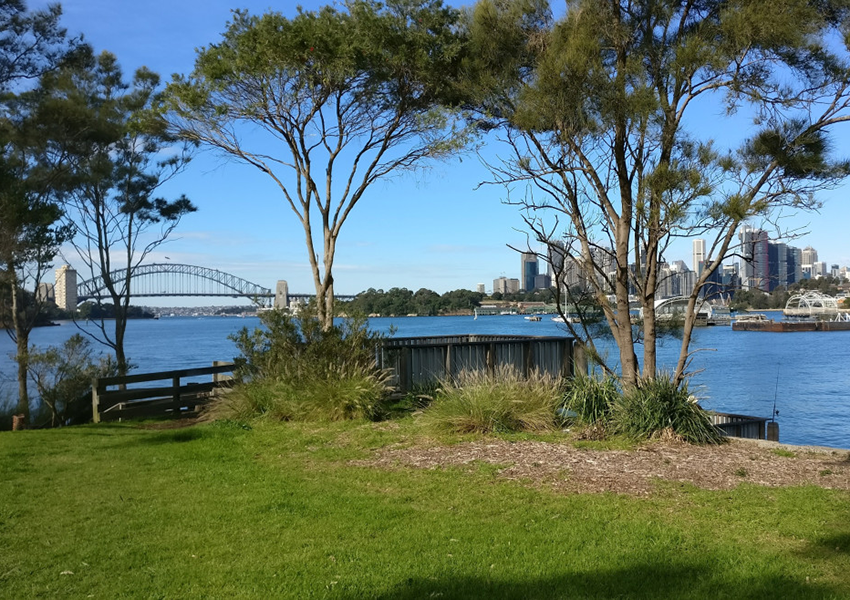 Aboriginal cultural sites in Yurulbin Park under threat from Western Harbour Tunnel works