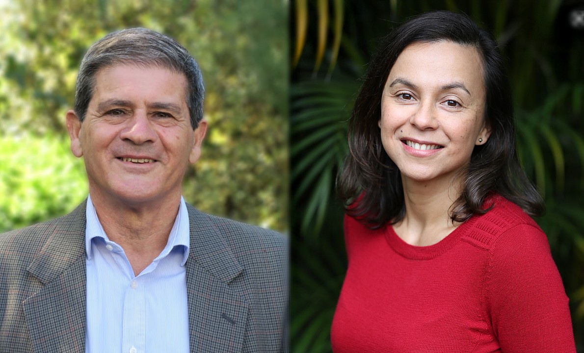 Inner West Independents say local suffers when party politics thrive