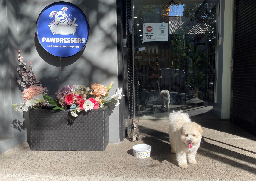 BEST PET GROOMER – Pawdressers
