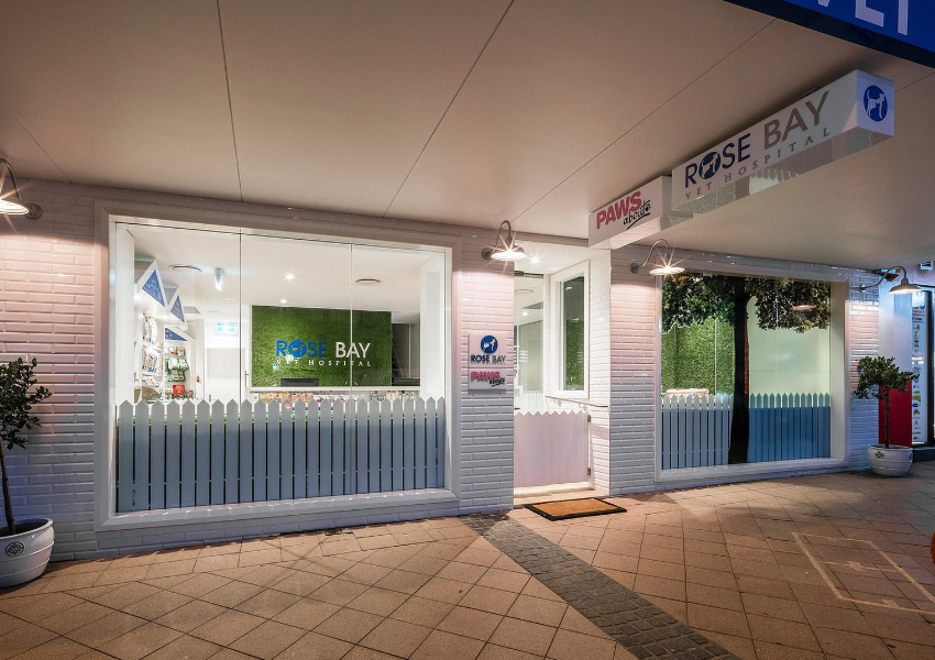 BEST VET – Rose Bay Vet Hospital