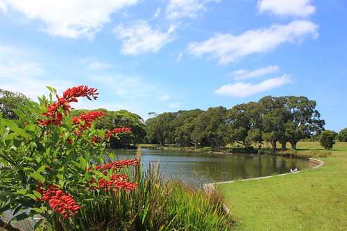 Momentum grows in Sydney against State Government’s Parklands Exposure Bill