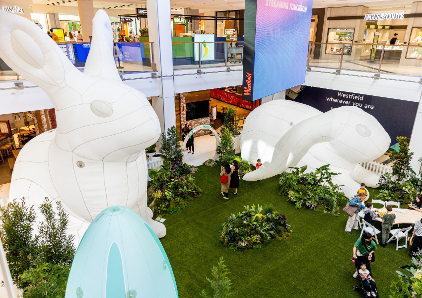 Community Events At Pitt Street ALIVE