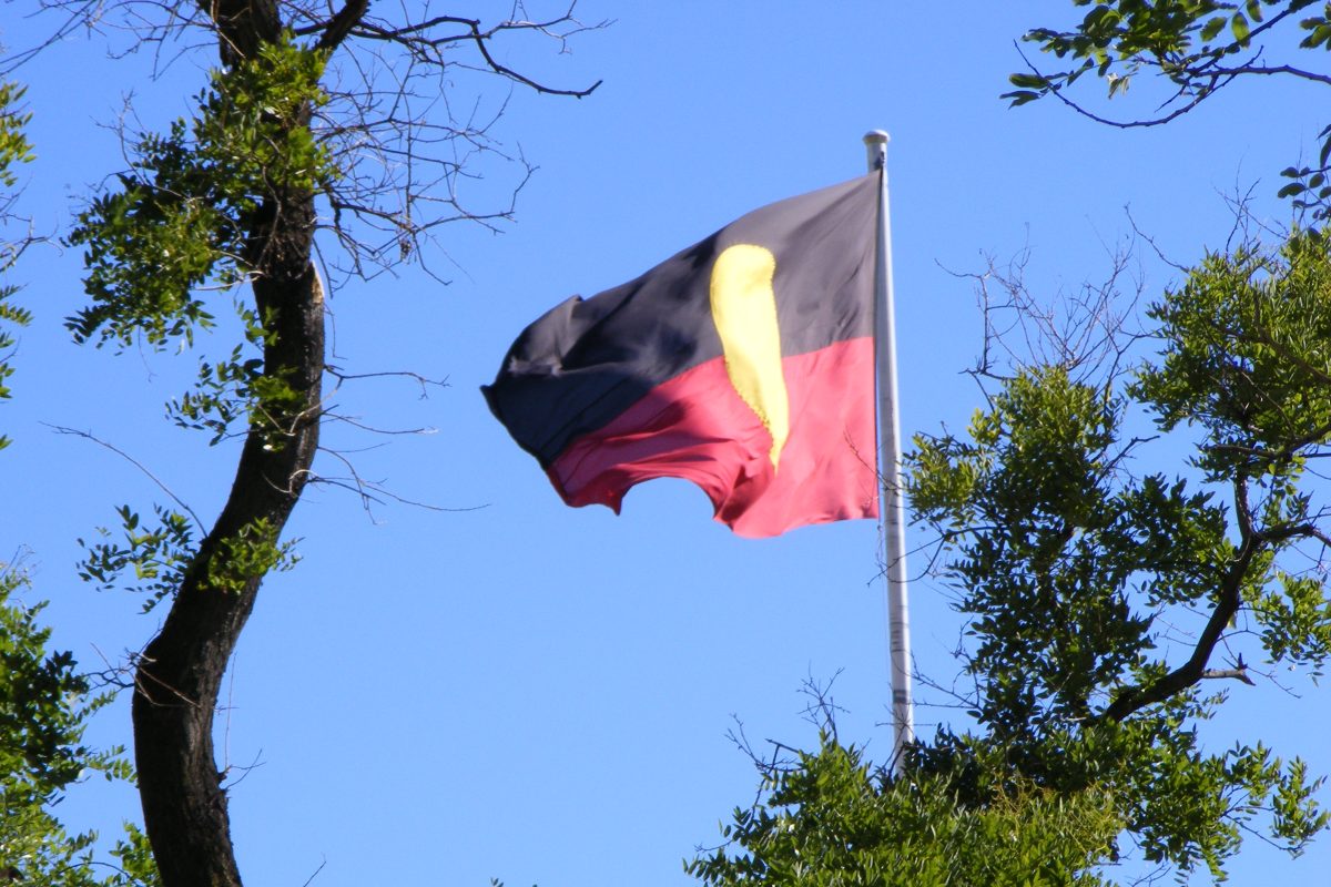Marrickville mural of Queen Elizabeth II painted over with Aboriginal flag