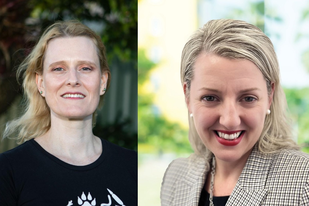 NSW upper house results in, Liberals gain final seat