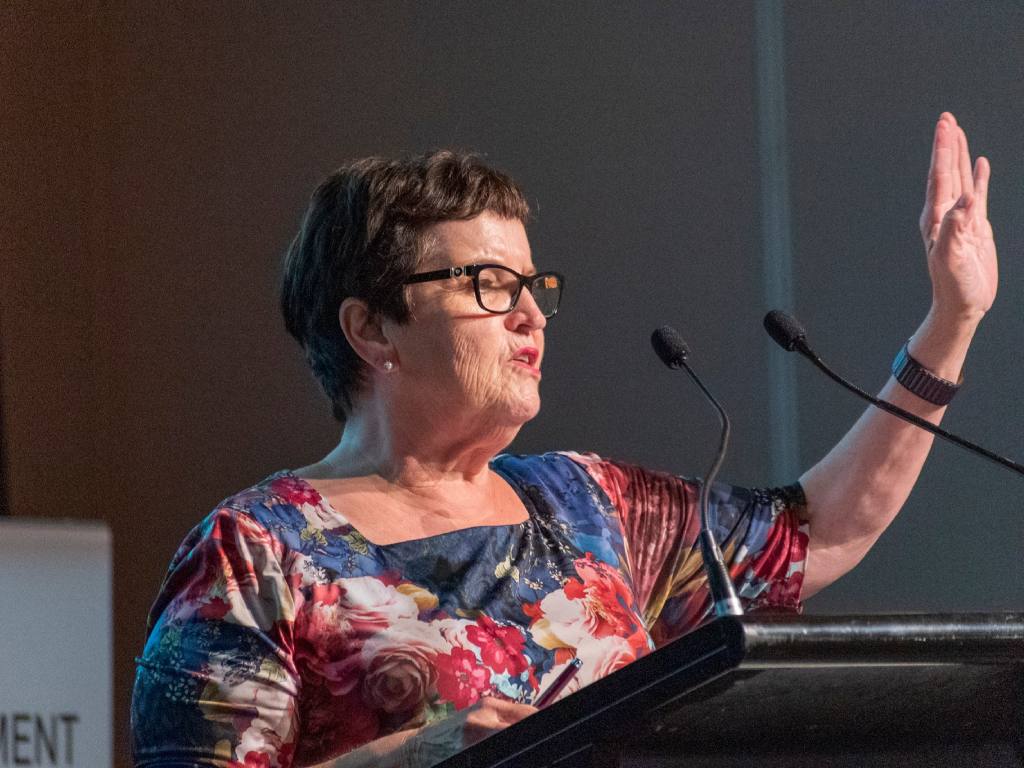 Local councils forced to front $77 million emergency services levy