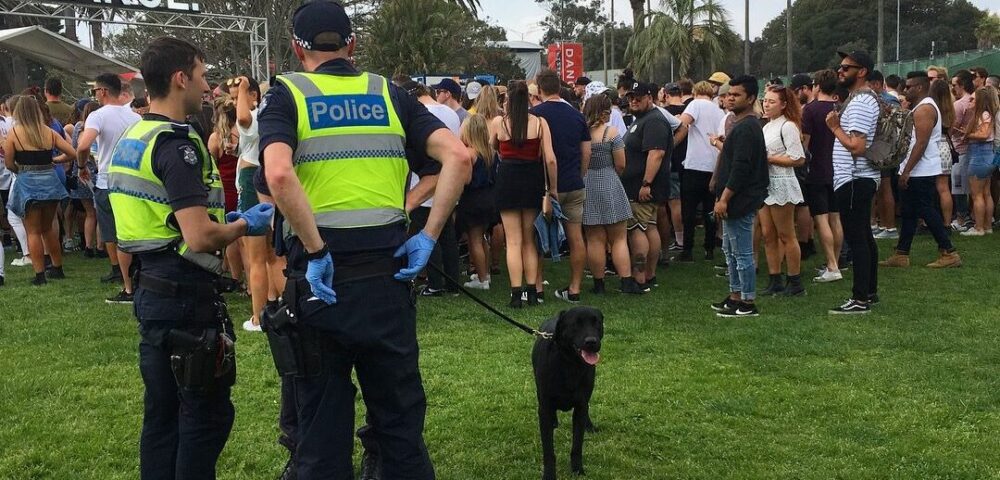 Calls for better drug harm reduction approaches ahead of NSW festival season