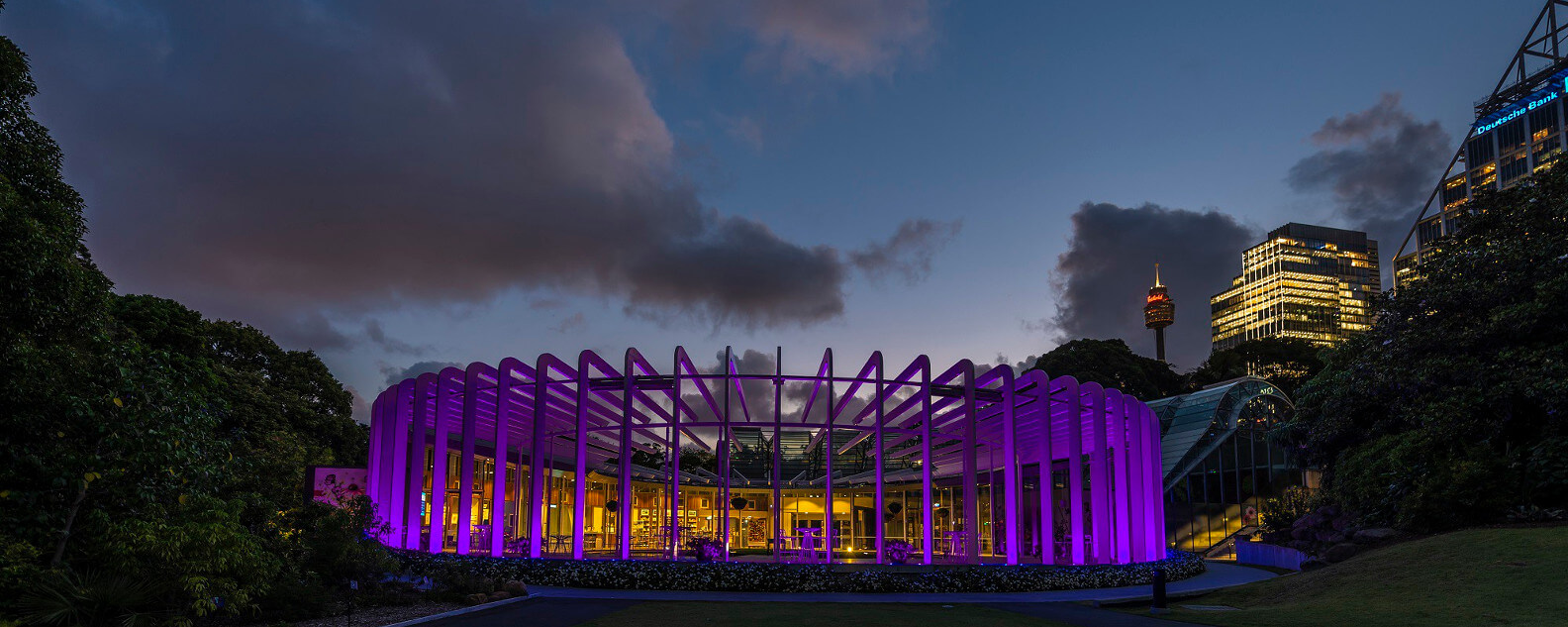 Astronomy at the Calyx 
