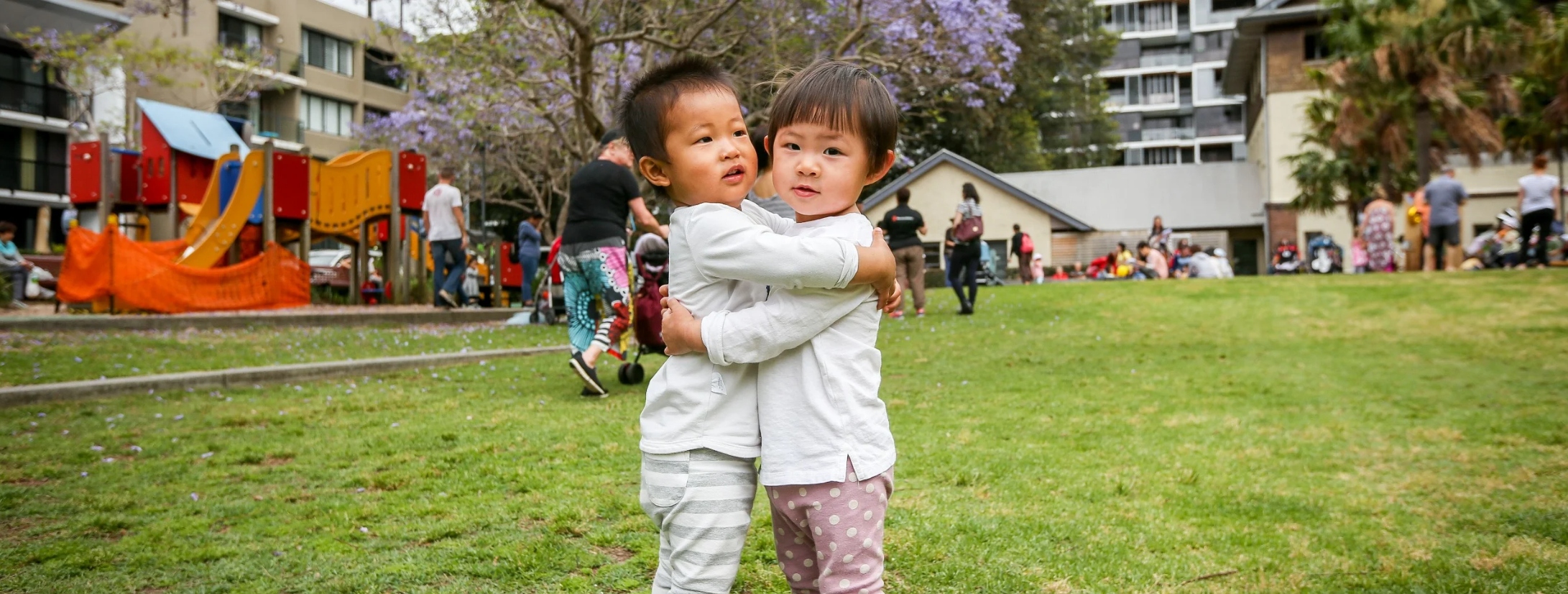Sydney council slashes Mandarin program days before Lunar New Year