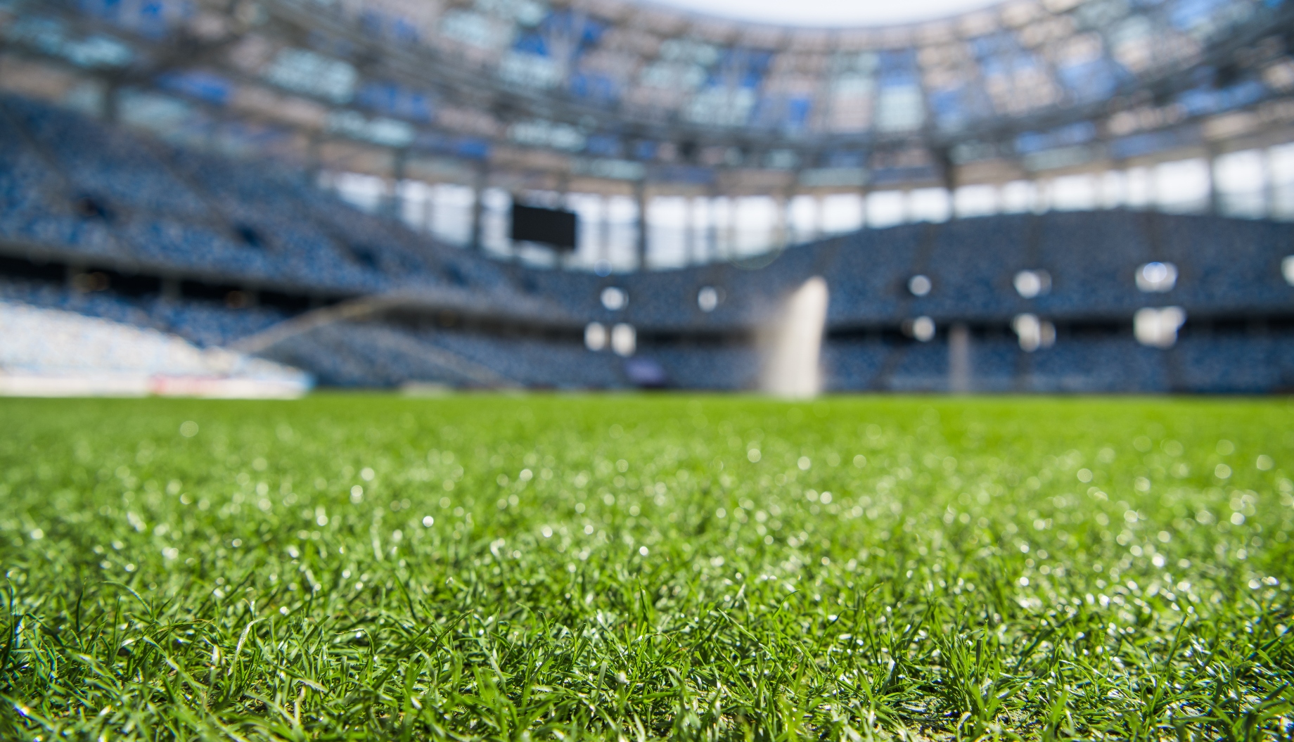 Turf Wars: Inner West turns to artificial grass