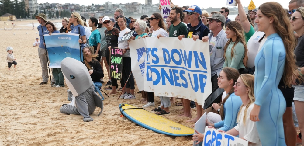 NSW Government Slammed Over Its New Shark Nets Removal Plan For Sydney Beaches