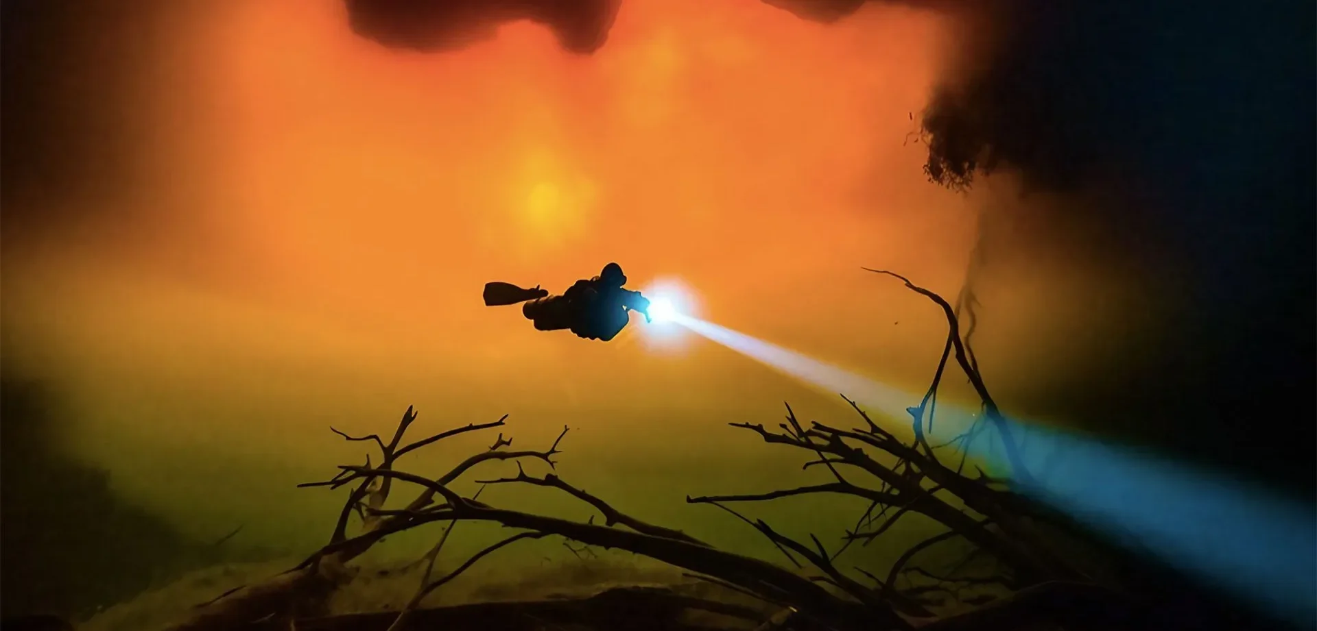 ‘Diving Into The Darkness’: Witness the bewildering beauty of the unknown