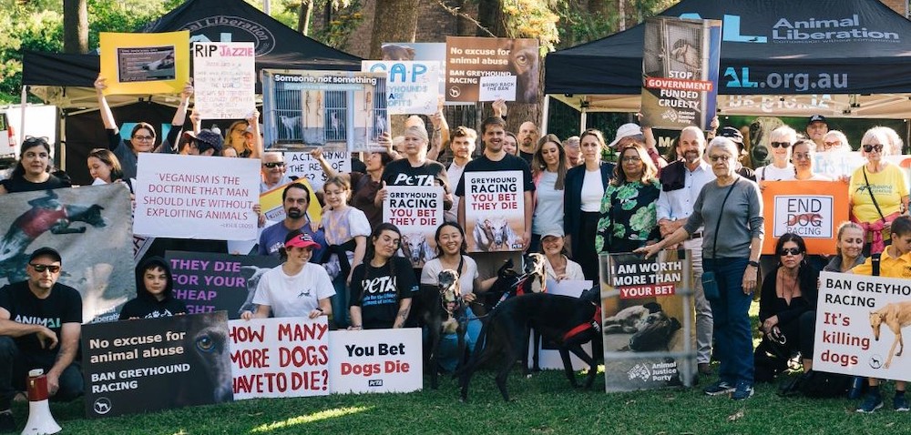 Protests Held Over Injured Greyhounds in Wentworth Park’s Million Dollar Chase Race