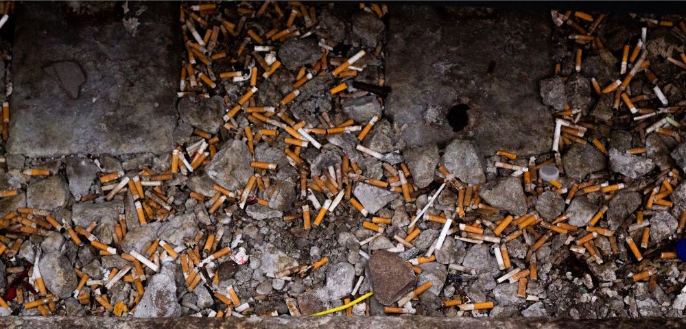NSW Police Arrest Seven Men After 1.4 Tonnes of Tobacco Is Seized
