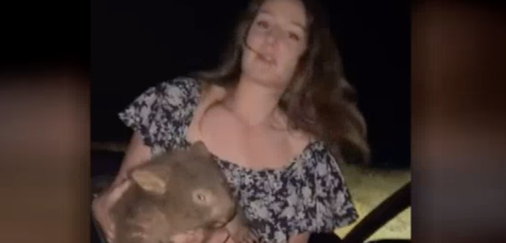 US Influencer Sam Jones Has Left Australia Over Viral Wombat Video Controversy