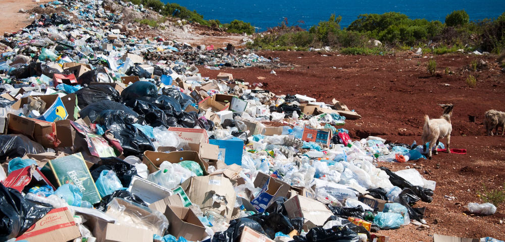 Australia Joins 96 Nations In Global ‘Wake-Up Call’ To End Plastic Pollution