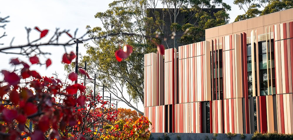 Macquarie University Academic Says Attacks On Humanities “Sacrilegious”
