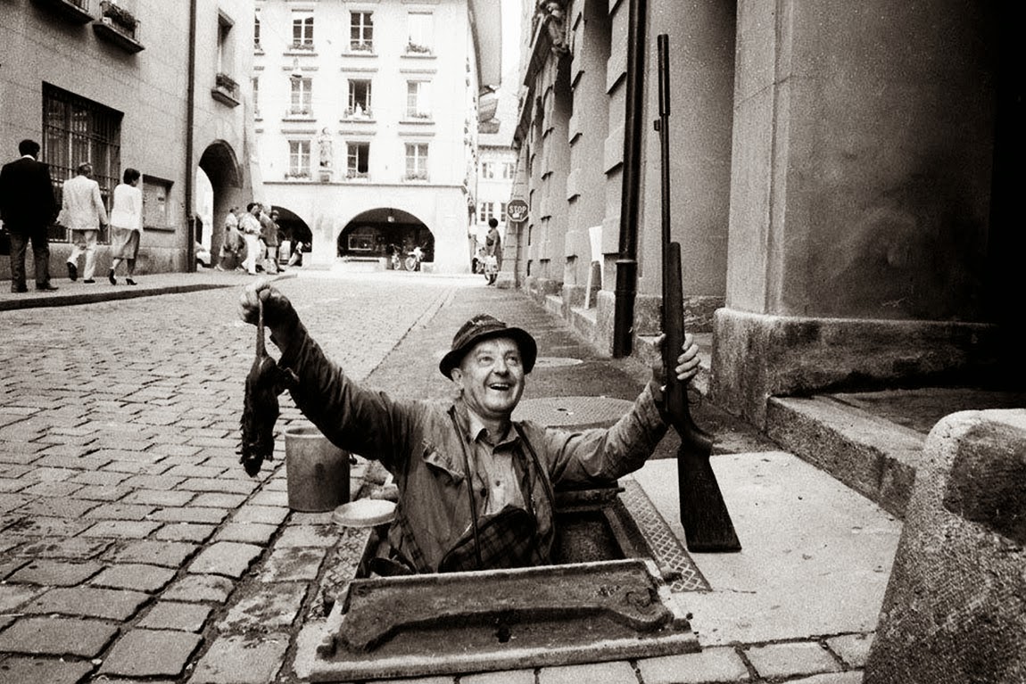NAKED CITY – A PLAGUE ON YOUR MOUSES!