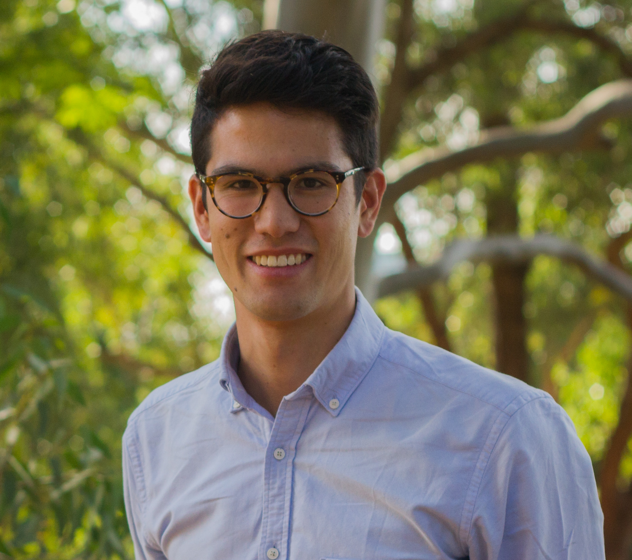 Ashfield election insider: Labor and the Greens come head-to-head