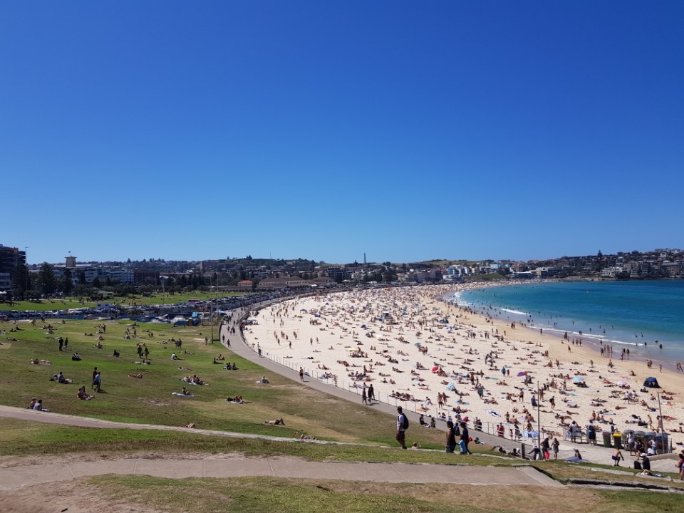 Bondi beach is “at capacity”