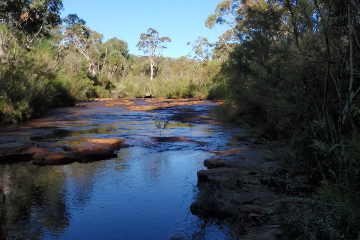 Sydney Water fined almost $1 million over sewage overflow