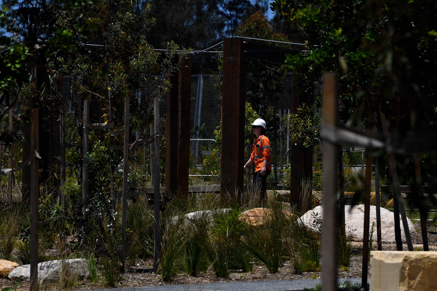 Sydney council launches legal action over asbestos clean-up concerns