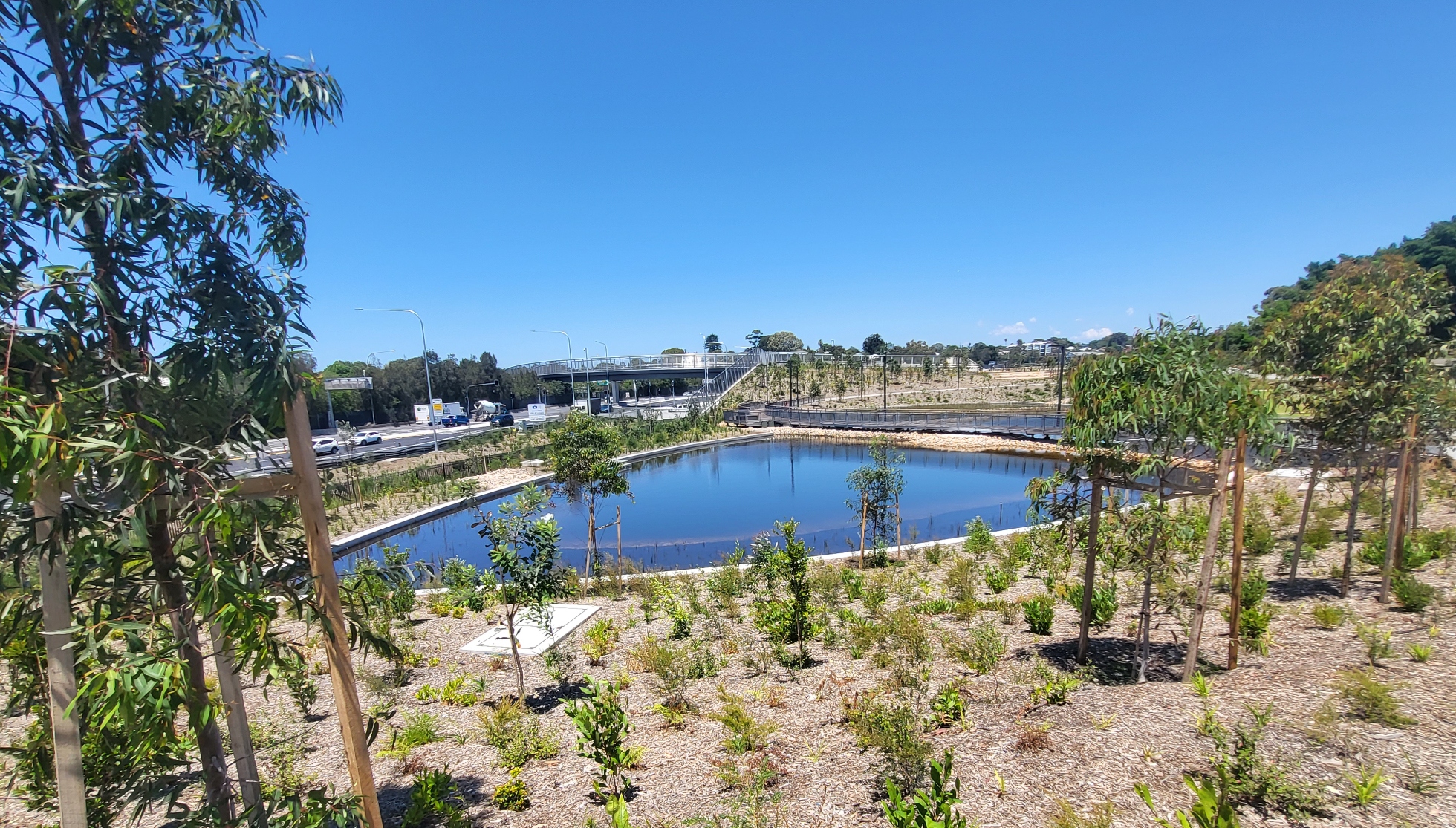Problems continue to plague Rozelle Parklands: algae discovered ahead of Tuesday reopening