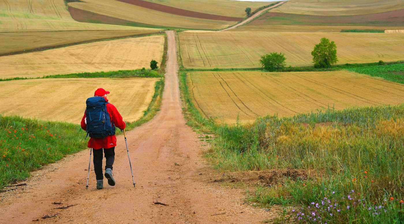 The Way, My Way – REVIEW